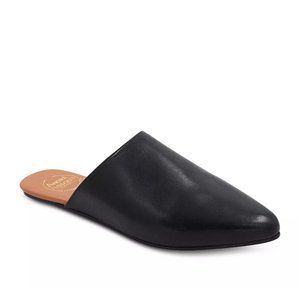 - Andre Assous, Tiana Featherweights Mule